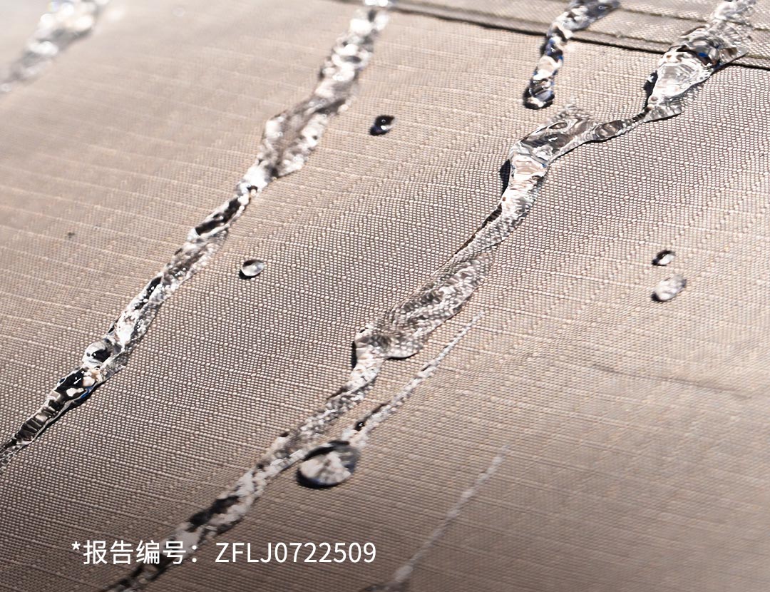 Compactă și portabilă